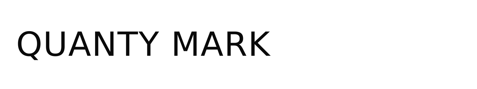 QUANTY MARK LLC