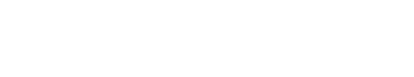 QUANTY MARK